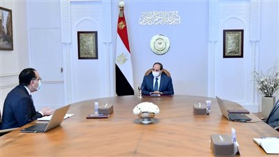 السيسي يوجه باستمرار التوسع في نشر نظام الري الحديث وتعزيز التعاون مع دول حوض النيل