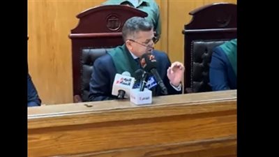 كلكم راع وكلكم مسؤول عن رعيته.. رسالة قاضي حنين حسام للآباء قبل حبسها 3 سنوات| فيديو