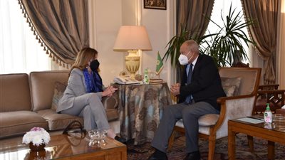  أبو الغيط يبحث مع مستشارة الأمم المتحدة آخر تطورات الملف الليبي 