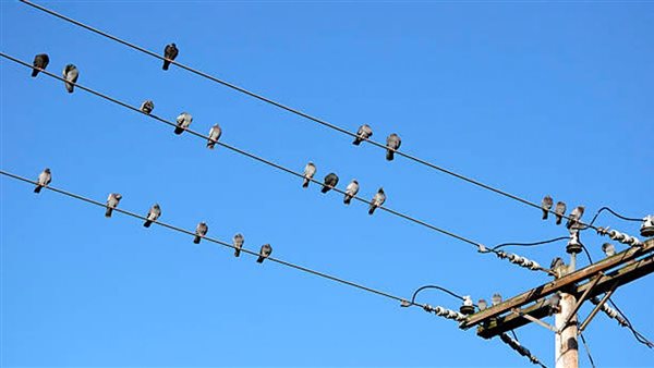 قطع الكهرباء - ارشيفية