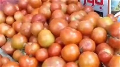 بث مباشر| الطماطم بـ10 جنيهات.. انخفاض أسعار الخضراوات والفاكهة اليوم بالأسواق