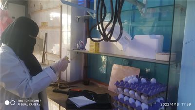 ضبط 67 مخالفة تموينية بالدقهلية وإحالتها للنيابة العامة