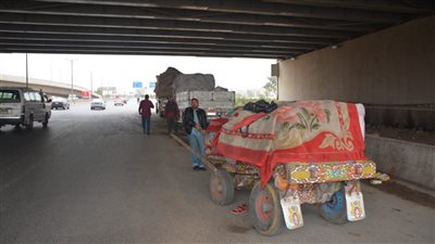 محافظ القليوبية يوجه بإزالة الإشغالات والباعة الجائلين أسفل كوبري الطريق الإقليمي بمدينة بنها