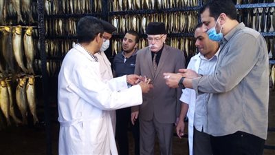 ضبط 2525 كجم أسماك ولحوم غير صالحة للاستهلاك بالغربية