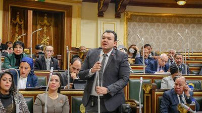 برلماني ينتقد عدم تطبيق الحد الأقصى للأجور.. ومطالب بحل مشكلات الصناديق الخاصة