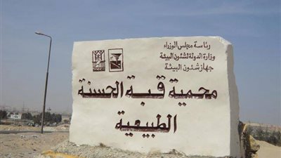 عمرها 100 مليون سنة.. محمية قبة الحسنة تحكي تاريخًا جيولوجيًا آخر لمصر