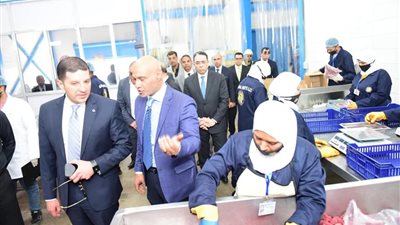 رئيس هيئة الاستثمار يتفقد سير العمل بمشروعات المنطقتين الاستثماريتين ببنها وميت غمر