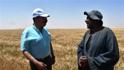 محافظ أسوان: التشديد على المزارعين بعدم تسليم محصول القمح إلا من خلال جهات التسويق والتخزين