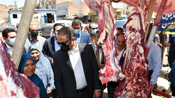 محافظ الفيوم يتفقد