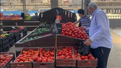 الطماطم بـ 8 جنيهات والبصل بـ جنيه.. محافظ بورسعيد: الباعة الجائلين سبب زيادة الأسعار | صور وفيديو