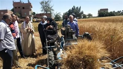 وكيل زراعة أسيوط: عمليات توريد الأقماح تسير دون أي مشاكل حتى الآن