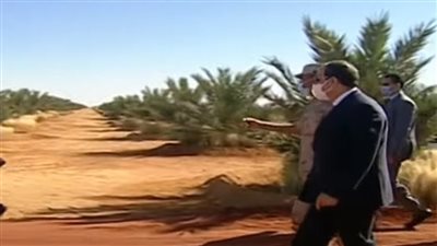 بعد إعطاء الرئيس شارة البدء لحصاد محصول القمح.. أبرز 5 معلومات عن مشروع توشكى الخير