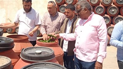 ضبط 400 كيلو لانشون غير صالح للاستهلاك و17 طن مخلل في البحيرة