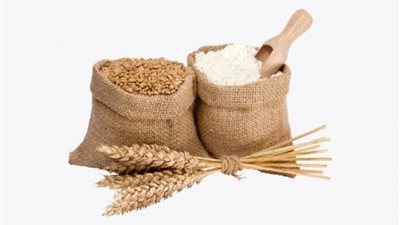 الأزهر للفتوى: مقدار زكاة الفطر صاع من غالب ما يتخذه الناس قوتا بالبلد كالقمح والأرز والزبيب