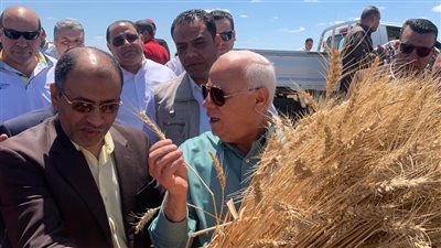محافظ بورسعيد يشهد انطلاق موسم حصاد القمح بـ سهل الطينة |صور 