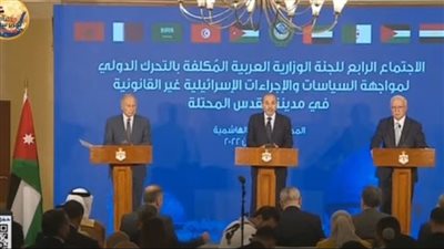 وزير الخارجية الأردني: لا نقبل أي اعتداءات على المسجد الأقصى