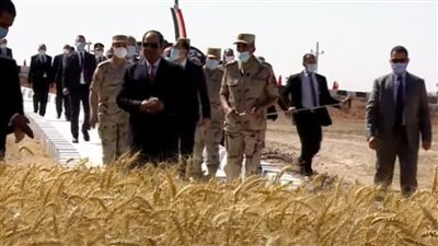 السيسي يعطي شارة البدء لـ حصاد القمح في توشكى.. ووزير الزراعة: حققنا الاكتفاء الذاتي في كثير من المحاصيل | بث مباشر 