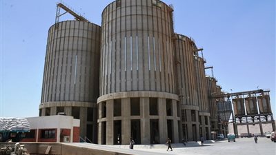 توريد 51 طن قمح خلال 5 أيام لشون وصوامع سوهاج