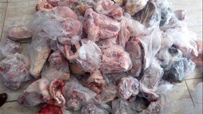 إعدام 10 أطنان دواجن فاسدة بعد ضبطها داخل ثلاجة بالقليوبية 