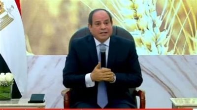 الرئيس السيسي: إن لم نضبط عدد السكان لن نشعر بتحسن اقتصادي | فيديو