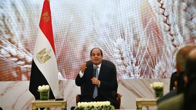 حوار سياسي ومخطط استهداف سيناء.. ماذا دار في لقاء السيسي مع الصحفيين والإعلاميين؟