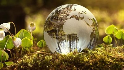 استبدال الأدوات البلاستيكية بالعجلات المتنقلة.. 7 طرق للحفاظ على البيئة من التلوث