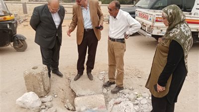 سقوط أجزاء من كوبري منى الأمير بالحوامدية.. ومحافظة الجيزة تتخذ إجراءً عاجلًا