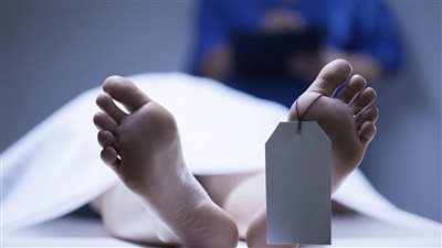 نجار ينهي حياة زوجته ونجليه في الدقهلية