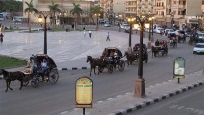 محافظة الأقصر تعلن استعداداتها لاستقبال أعياد القيامة المجيد وشم النسيم والفطر المبارك 