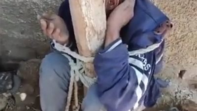 ربطوه في شجرة.. وصلة تعذيب للص سرق أسطوانة بوتاجاز من منزل بقنا