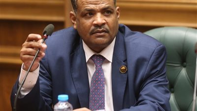 بعد حادثة طريق أبو سمبل.. برلماني يطالب رئيس الوزراء بازدواج الطريق وإقامة نقاط إسعاف 