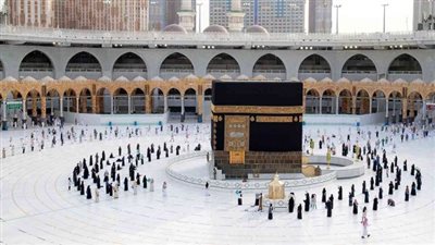 لمواجهة سماسرة الحج.. تشكيل لجنة لمتابعة التأشيرات من خارج المنظومة | خاص 