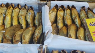 تزامنا مع شم النسيم.. الصحة توضح إرشادات صحية لأماكن بيع الأسماك المملحة