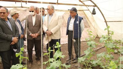 وزير الزراعة ومحافظ القليوبية يتفقدان صوب المشروع القومي لإنتاج التقاوي بمدينة قها