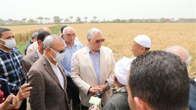 وزير الزراعة: نستهدف استلام 6 ملايين طن قمح من المزارعين.. ومتابعة لضمان حصولهم على مستحقاتهم