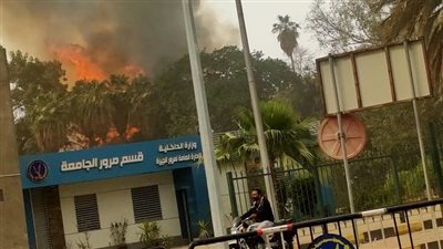 السيطرة على حريق حديقة الأورمان في الجيزة