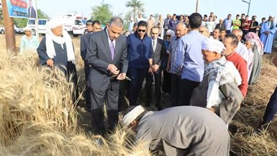 تموين سوهاج: توريد أكثر من 327 طن قمح إلى الشون والمطاحن منذ بداية حصاد العام | صور