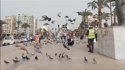 كأنك في أوربا.. حمام السلام يُزين ميدان الشهداء خلال احتفالات المواطنين بشم النسيم