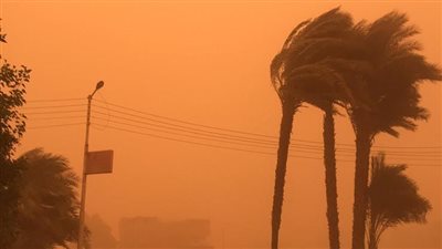 الأرصاد تعلن استمرار موجة الرياح المحملة بالأتربة.. وتحذر مرضى الجيوب الأنفية والحساسية | بث مباشر