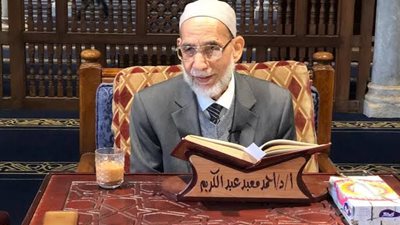 عضو كبار العلماء: مرحلة الكفاح لتحرير سيناء تستحق الإشادة ببطولاتها كل يوم 