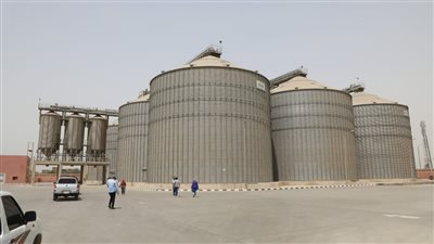 رئيس قطاع استلام وتخزين الحبوب لـ المزارعين: أحنا في أزمة ومش حاسين بيها