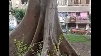 جهات التحقيق تستعجل التحريات في واقعة العثور على جثة سيدة مجهولة بأكتوبر