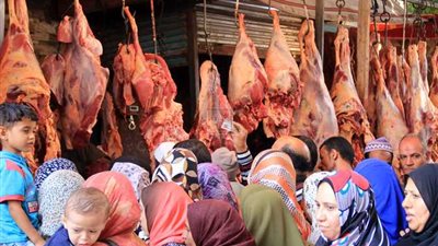 الإحصاء: 7.3 كجم متوسط نصيب الفرد من اللحوم الحمراء خلال عام