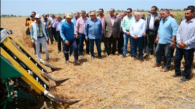 الغضبان يتفقد موسم حصاد القمح بأحد الحقول الزراعية جنوب بورسعيد | صور 