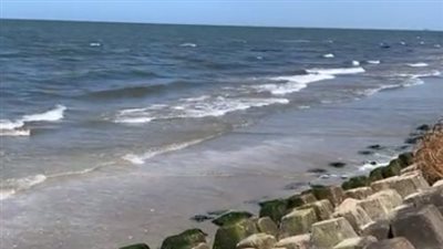 طقس ربيعي معتدل ببورسعيد وارتفاع درجات الحرارة بالمنوفية | بث مباشر