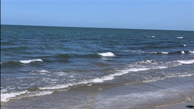 طقس مشمس معتدل في محافظة بورسعيد والعظمى 21 | صور وفيديو