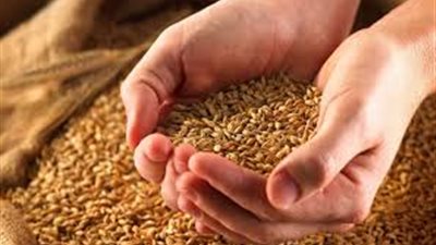 صندوق النقد الدولي: ارتفاع أسعار السلع الأساسية يهدد بانعدام الأمن الغذائي في إفريقيا 