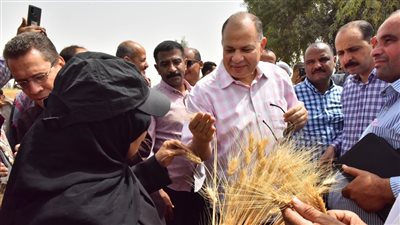 توريد 1142 طن قمح بـ 30 شونة بأسيوط