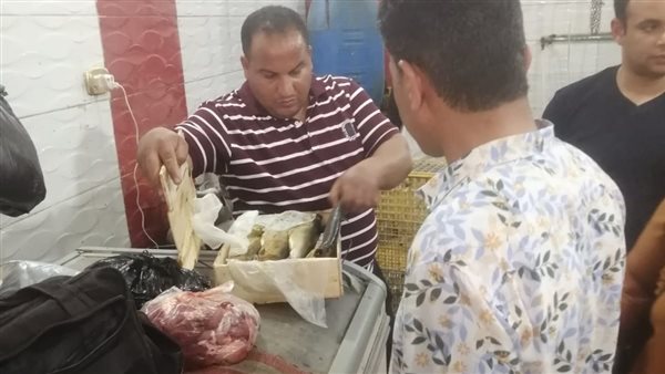 حملات تفتيشية على