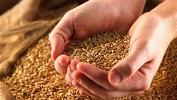 الأمن الغذائي 